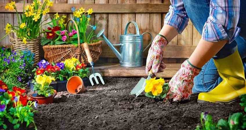 Giardinaggio Come Terapia - Blog Giardiniere Catania